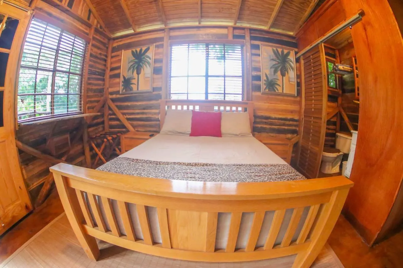 Pensjonat Hotel Log 33 Ocho Rios